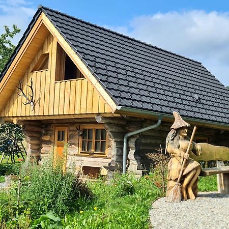 Blockhaus Panhuette Villa Braunlage Exterior photo