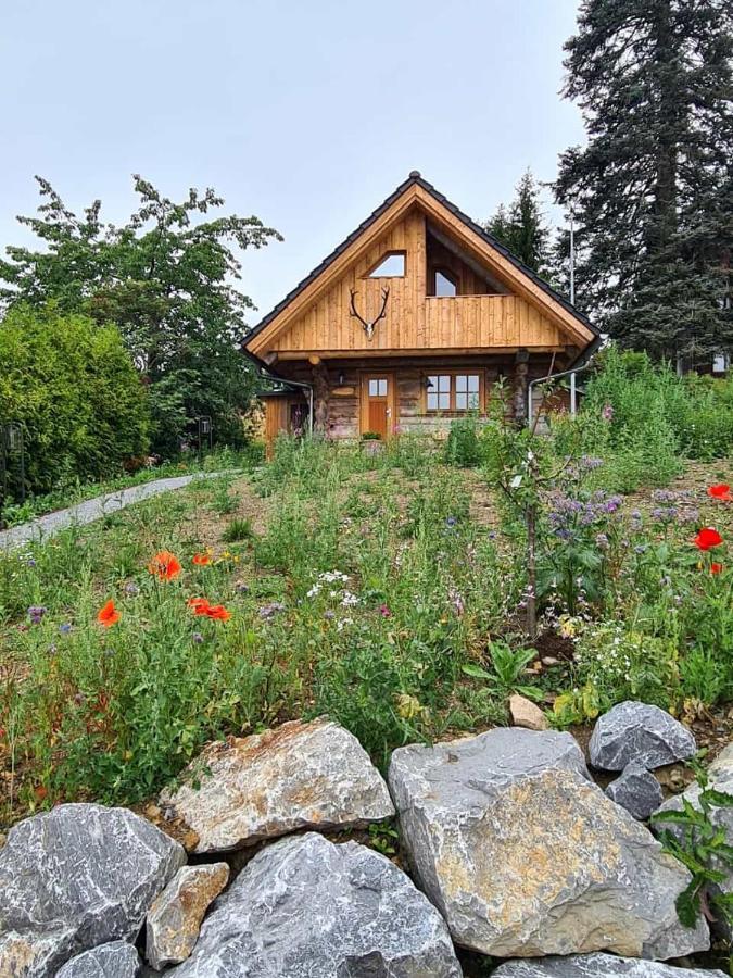 Blockhaus Panhuette Villa Braunlage Exterior photo