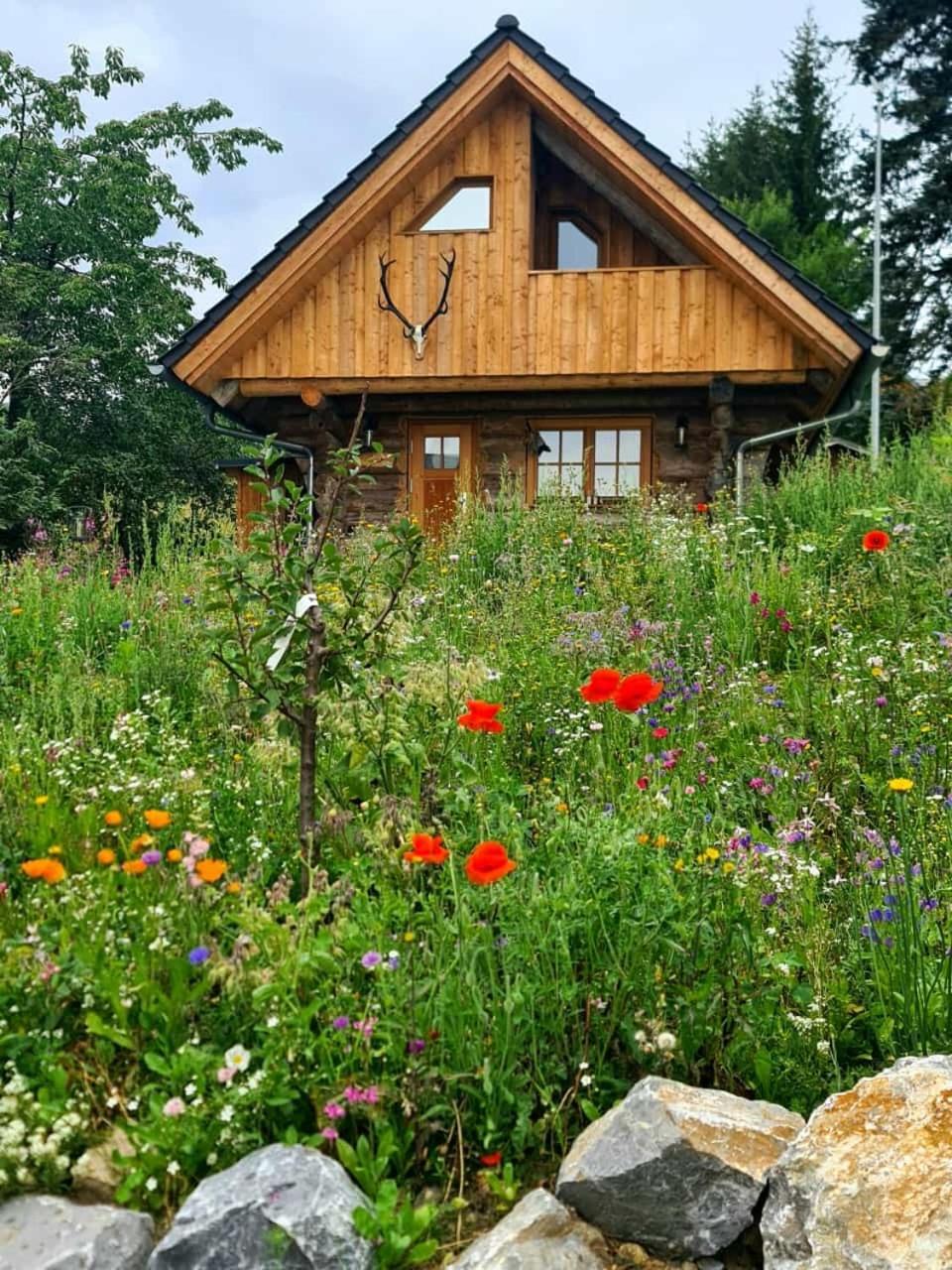 Blockhaus Panhuette Villa Braunlage Exterior photo